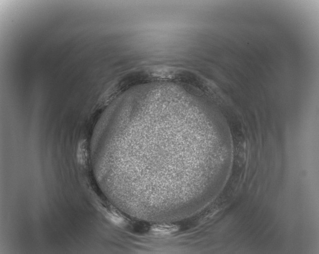 X0000066960707200604142115