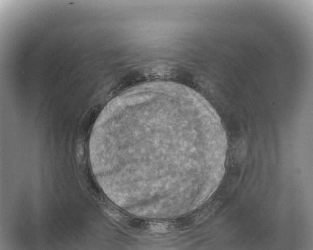 X0000066960709200604142115