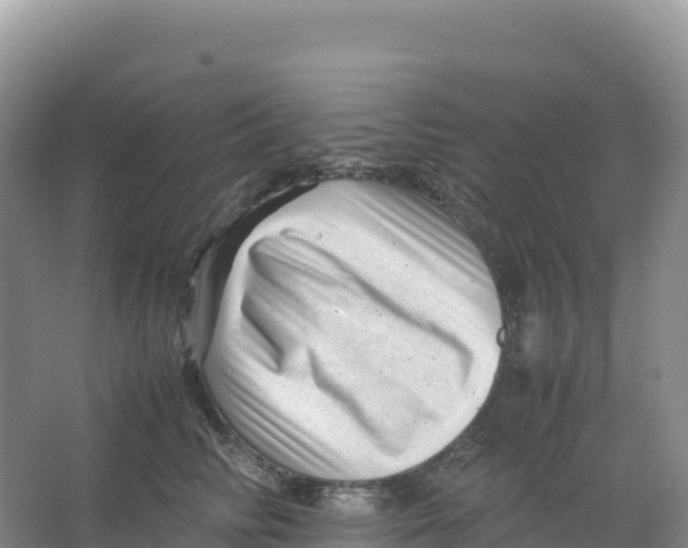 X0000066960710200604142115