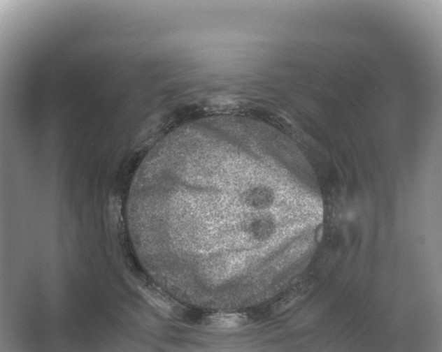 X0000066960711200604142115