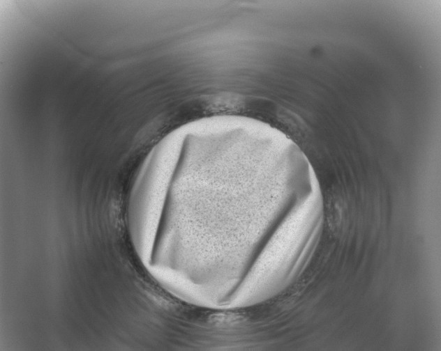 X0000066960714200604142115