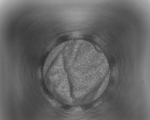 X0000066960715200604142115