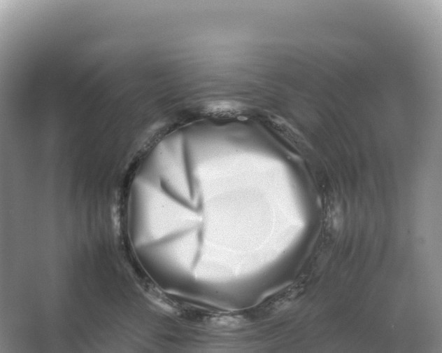 X0000066960716200604142115