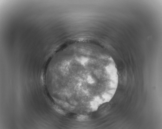 X0000066960718200604142115