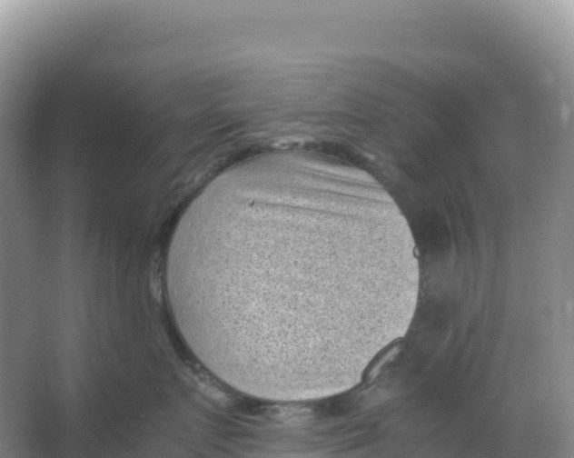 X0000066960719200604142115