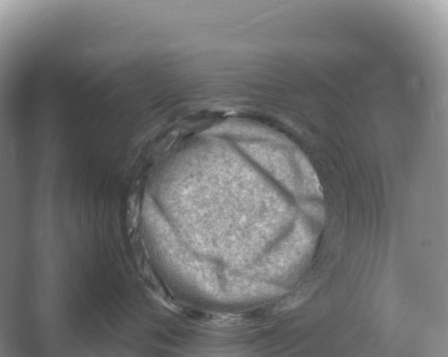 X0000066960720200604142115