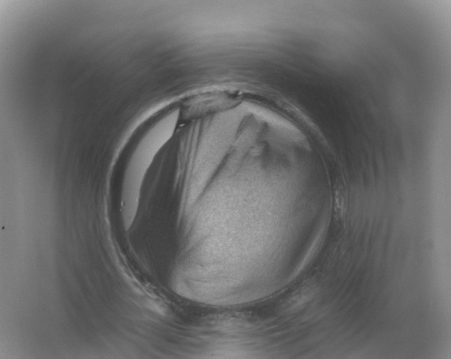 X0000066960724200604142114