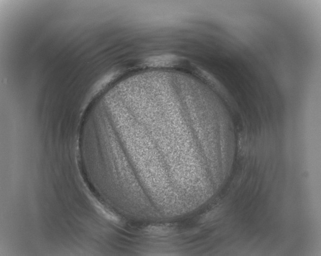 X0000066960725200604142114