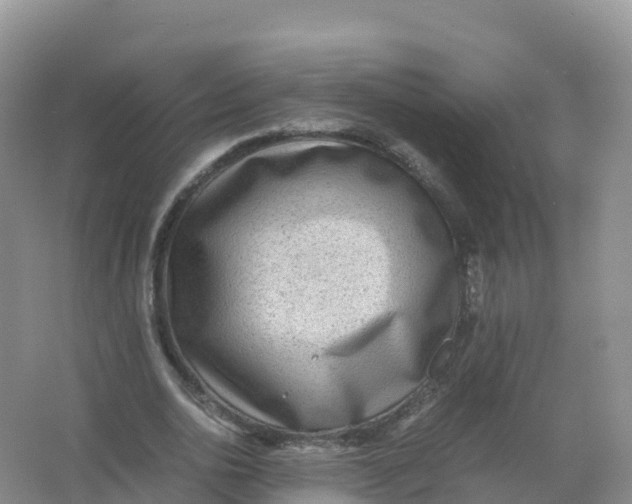 X0000066960726200604142114