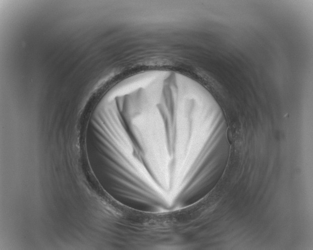 X0000066960727200604142114