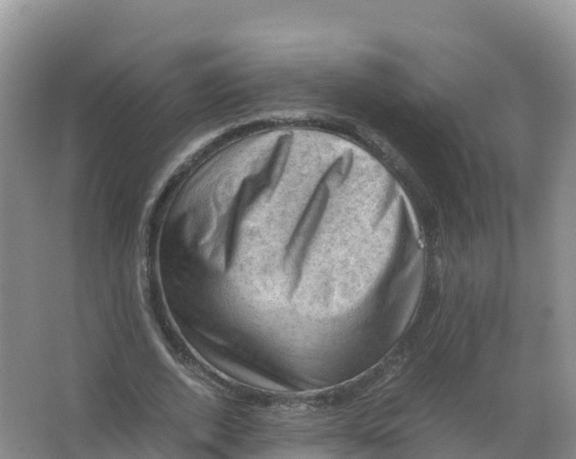 X0000066960728200604142114