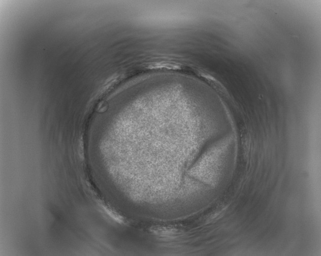 X0000066960729200604142114