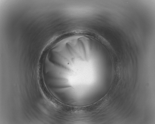 X0000066960730200604142114