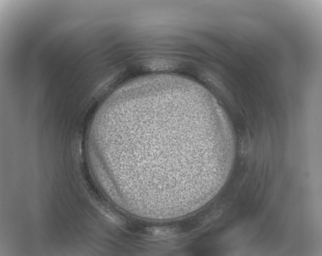 X0000066960733200604142114