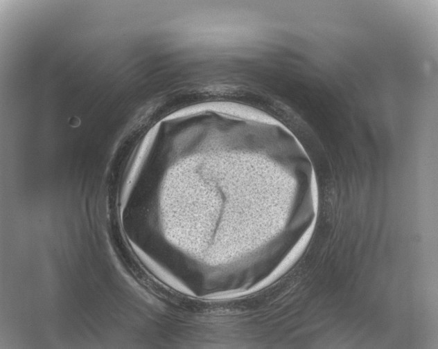 X0000066960734200604142114