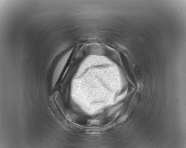 X0000066960735200604142114