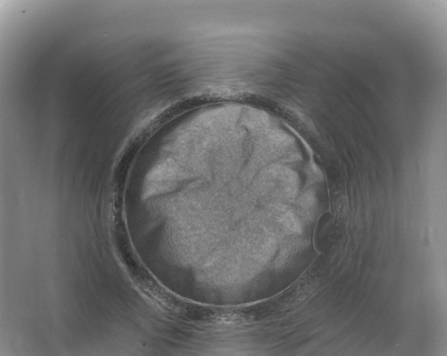 X0000066960736200604142114