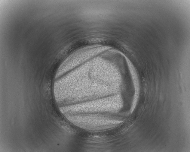 X0000066960737200604142114