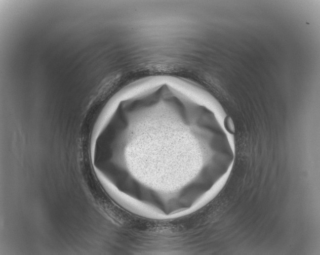 X0000066960738200604142114