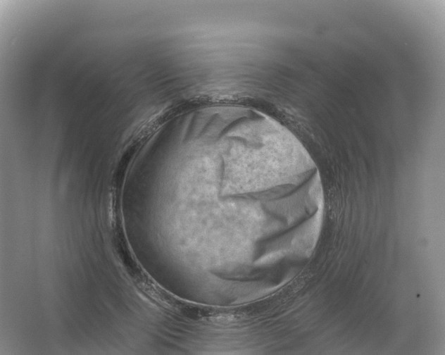 X0000066960740200604142114