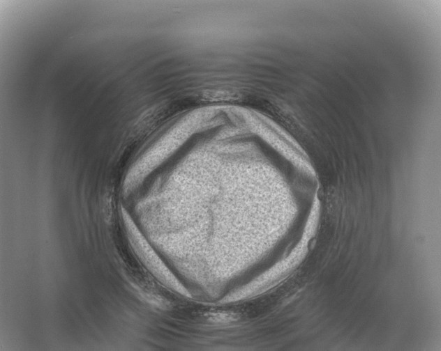 X0000066960741200604142114