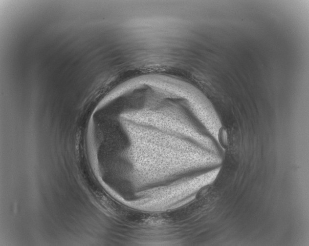 X0000066960742200604142114