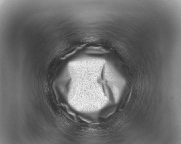 X0000066960743200604142114