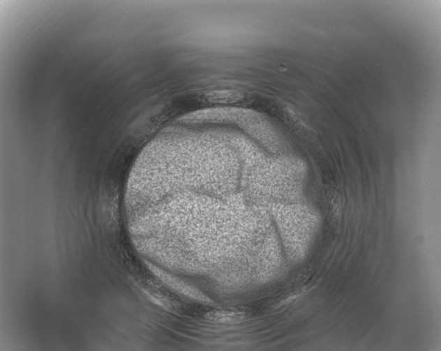 X0000066960745200604142115