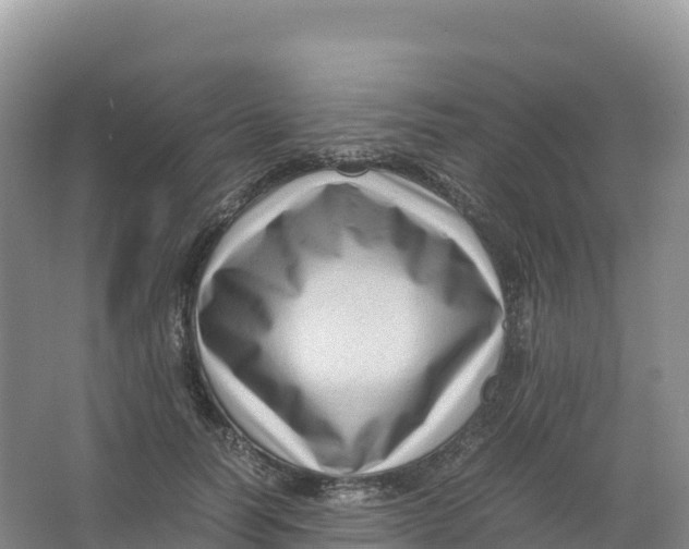 X0000066960746200604142115