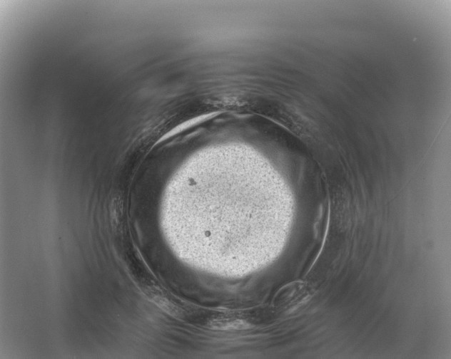 X0000066960747200604142115