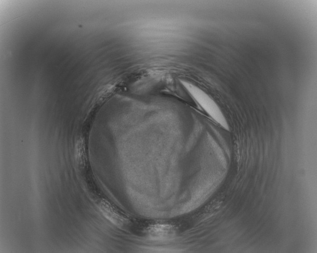 X0000066960748200604142115