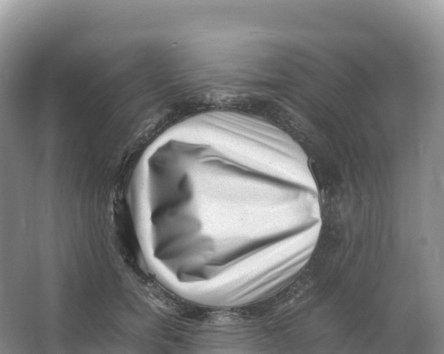 X0000066960750200604142115