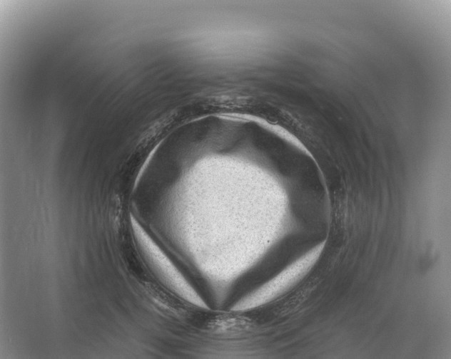 X0000066960752200604142115