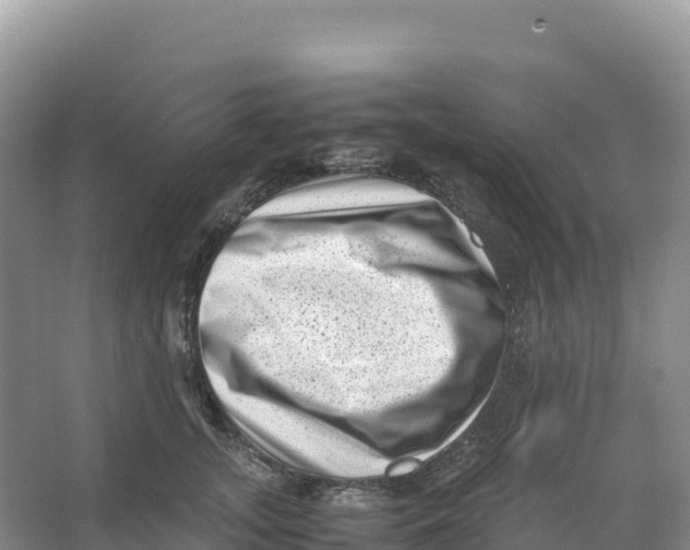 X0000066960755200604142115