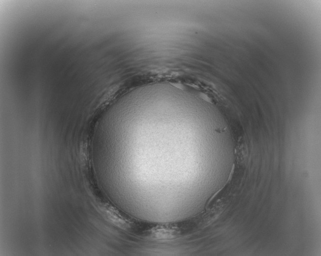 X0000066960756200604142115