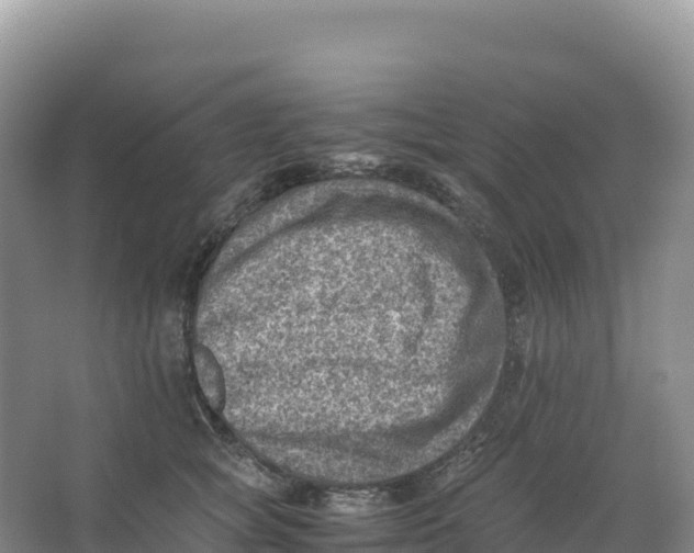 X0000066960757200604142115