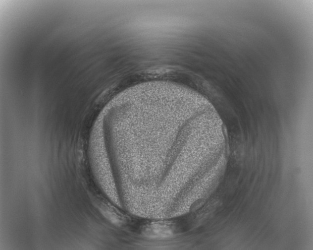 X0000066960758200604142115