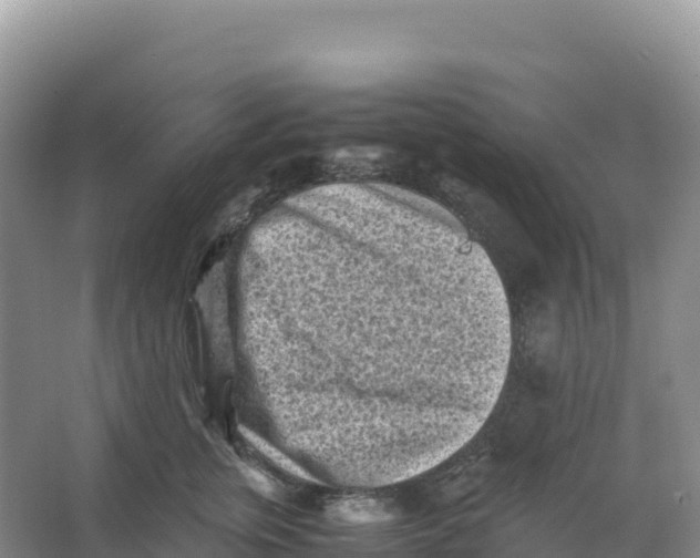 X0000066960759200604142115