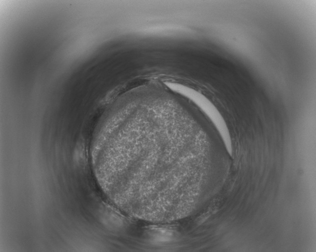 X0000066960763200604142115