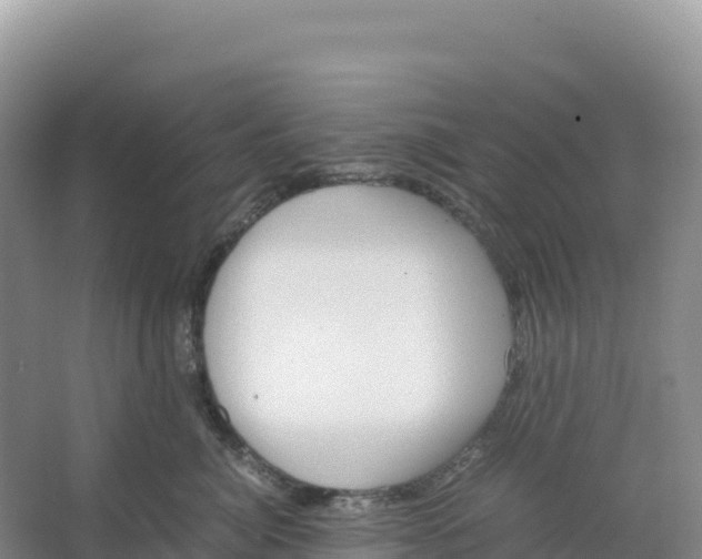 X0000066960764200604142115