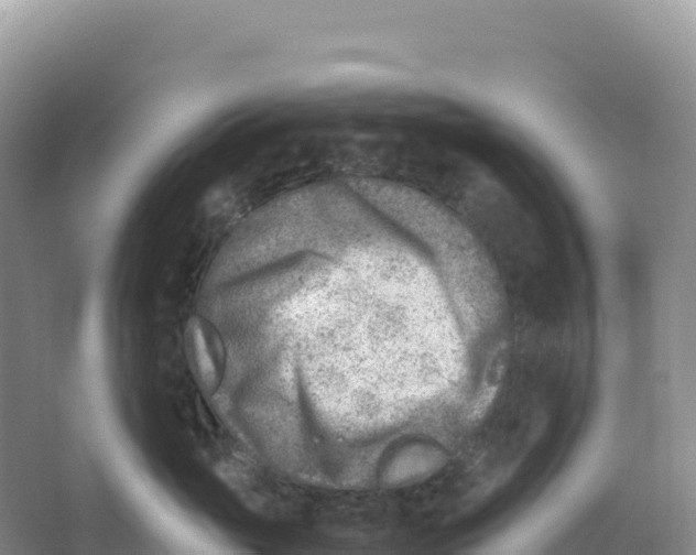 X0000066960765200604142115