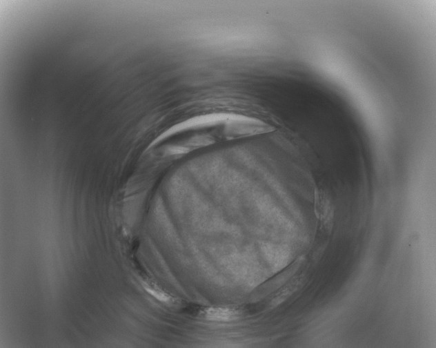 X0000066960766200604142115