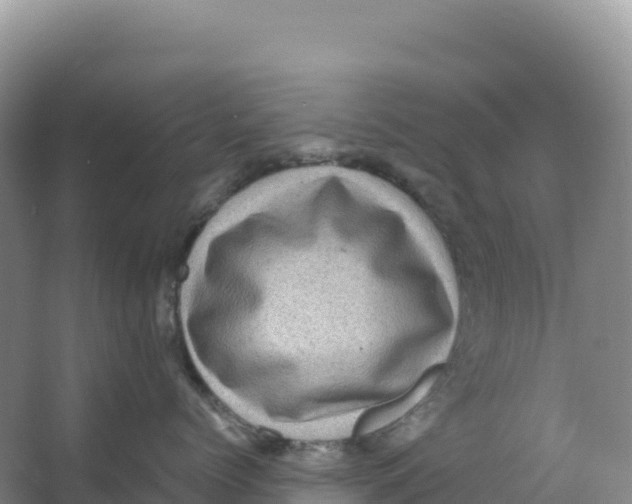 X0000066960768200604142115