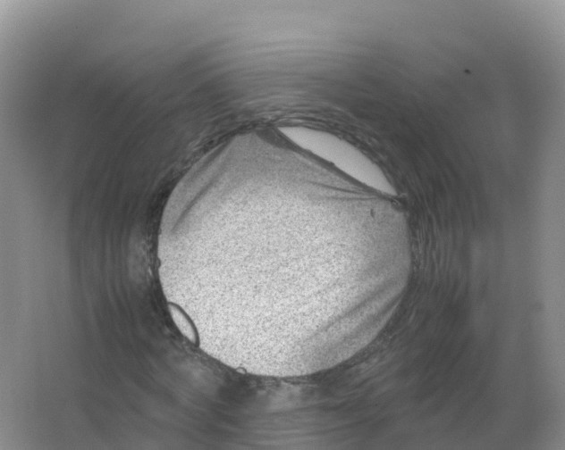 X0000066960772200604142114