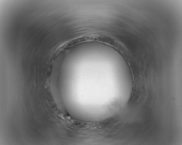 X0000066960773200604142114