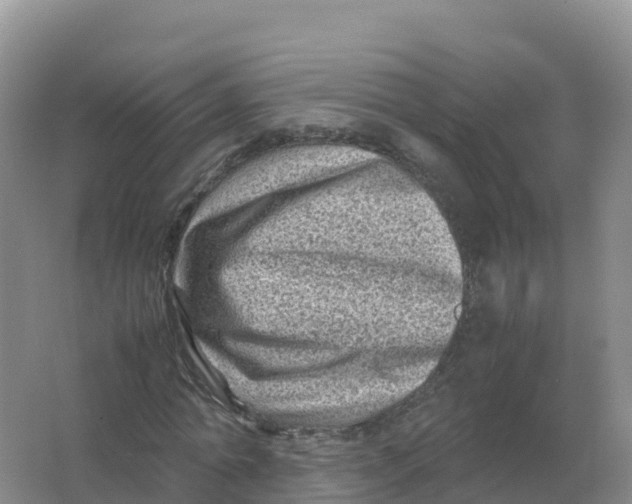 X0000066960774200604142114