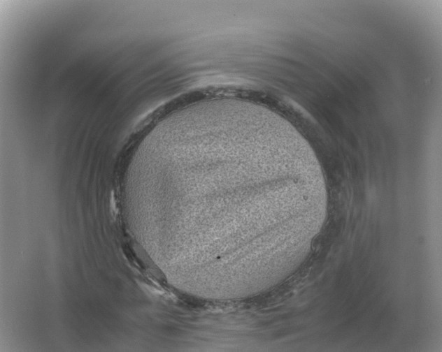 X0000066960775200604142114