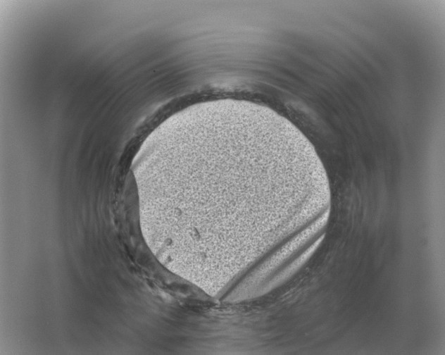 X0000066960776200604142114