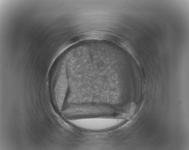 X0000066960779200604142114