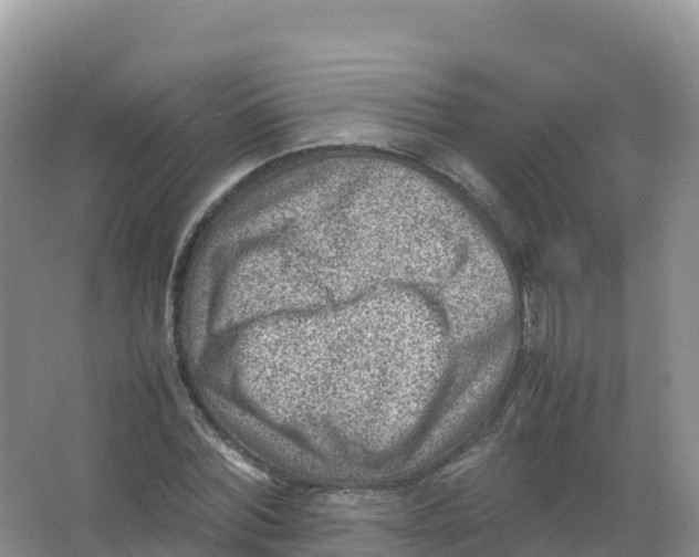 X0000066960780200604142114